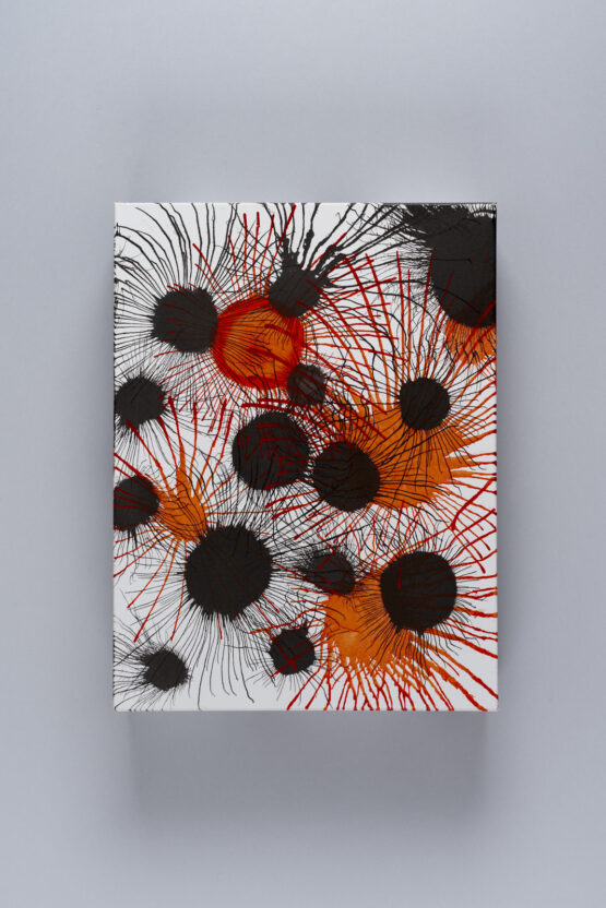 Patrícia Koyšová - Nové druhy #2, 40 x 30 x 7.5 cm