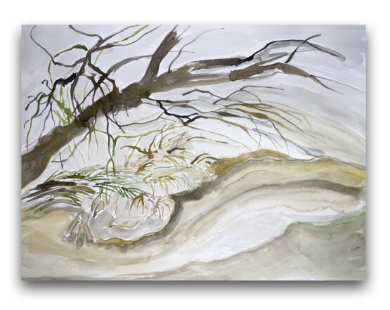Lucia Oleňová - Strom nad ramenom, 46 x 61 cm