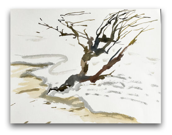 Lucia Oleňová - Pečnianska riviéra, 36 x 48 cm